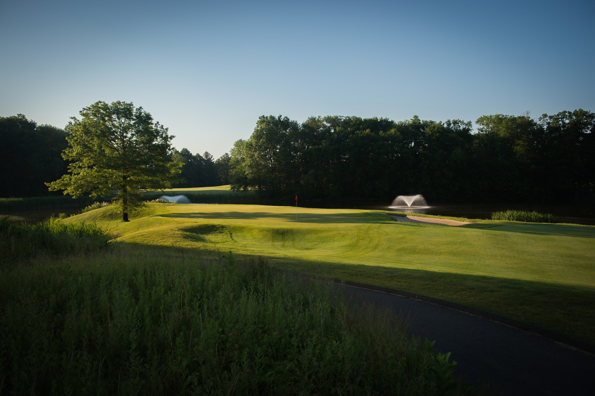Image of golf ball on tee on grass.